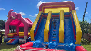 dbl lane and elephant